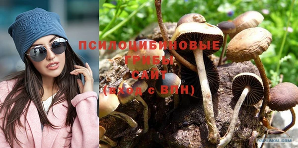 спайс Алексин