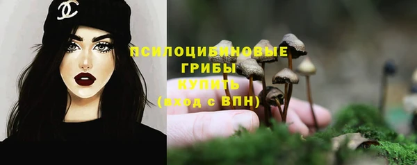 спайс Алексин
