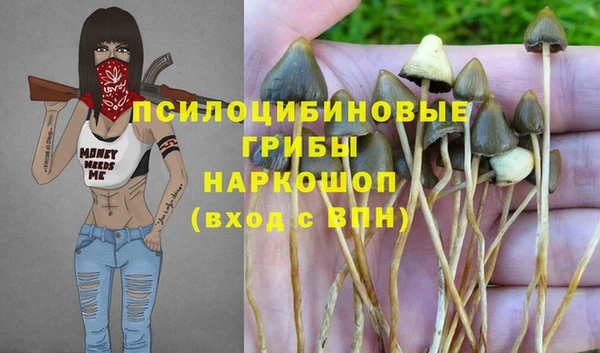 спайс Алексин