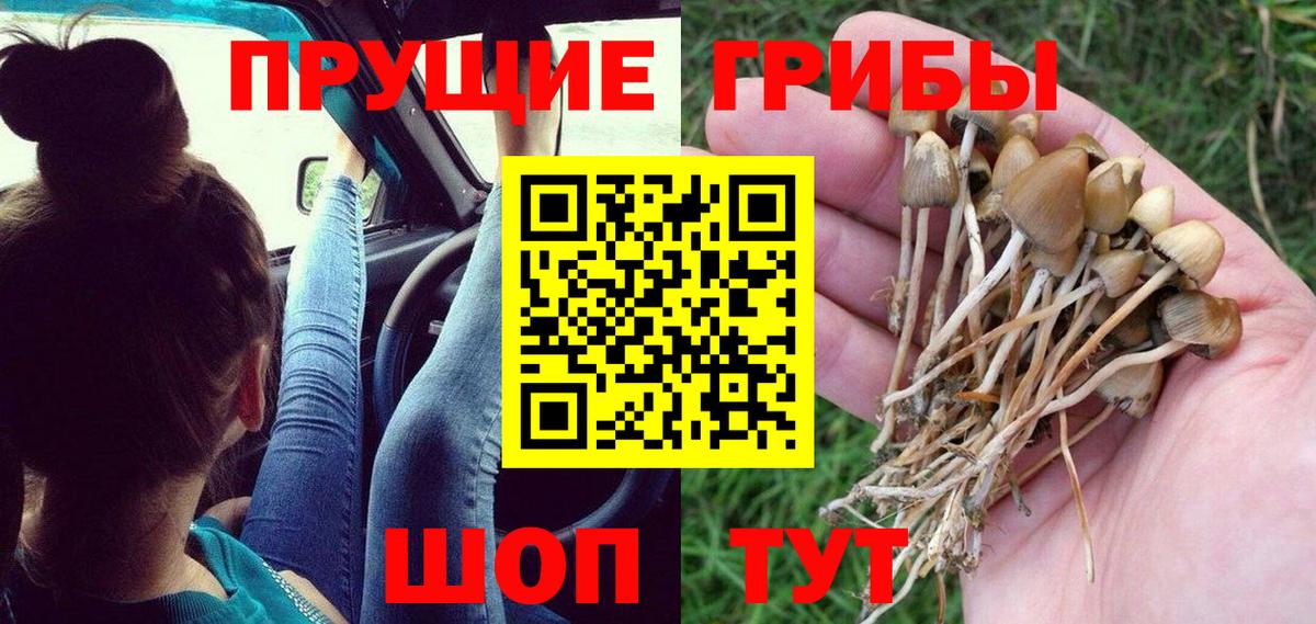 наркотики  Псилоцибиновые грибы мицелий  Вход с VPN  Апрелевка 